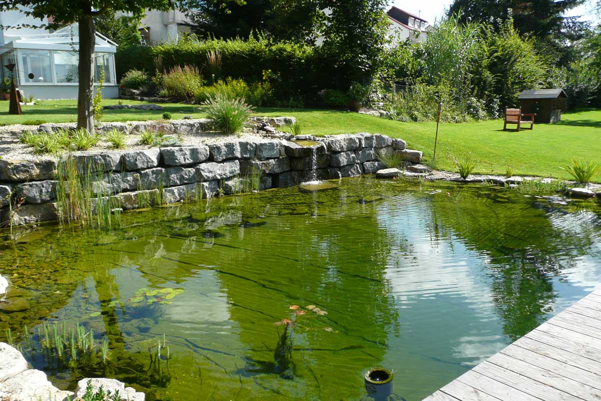 Naturteich