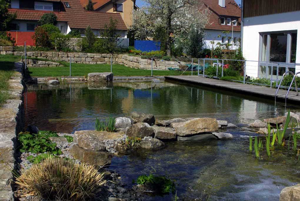 Naturteich